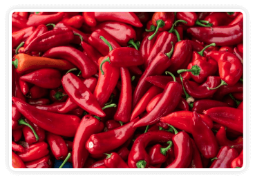 Andalusian Red Pepper (Capsaicin)