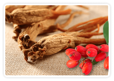 Berberine & Korean Red Ginseng