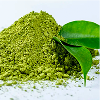 Green Tea Extract (EGCG)