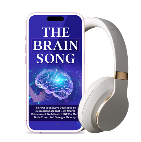 The Brain Song Digital Audio Player Interface